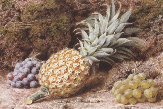 John Sherrin A Pineapple and Grapes on a mossy Bank (mk37) china oil painting image